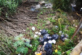 Multe e denunce per abbandono di rifiuti. Pugno duro del Comune