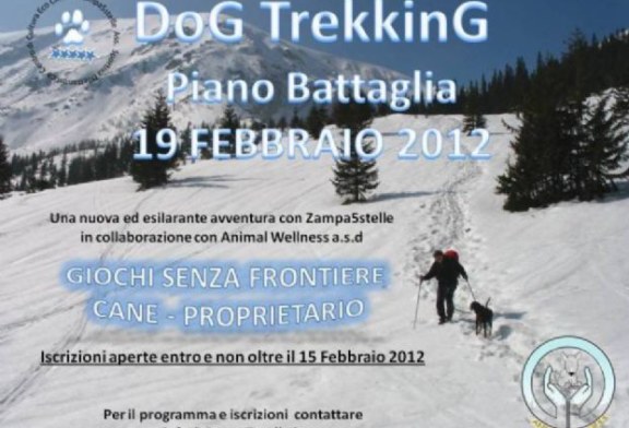 Zampa5stelle organizza Dog Trekking sulla neve