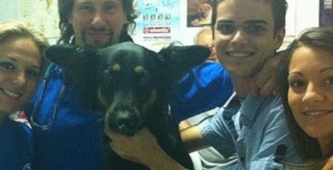 Zara, il cane della discordia, trova casa a Bologna