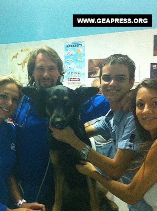 Zara, il cane della discordia, trova casa a Bologna