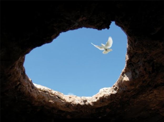 Un convegno a scuola per non dimenticare la shoah e le Foibe