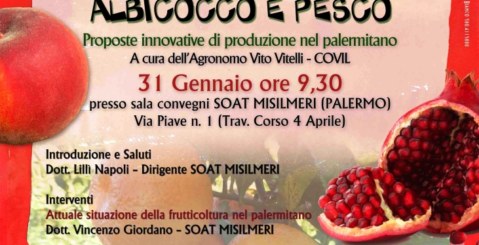 Seminario sul Kaki, melograno, agrumi, albicocco e pesco