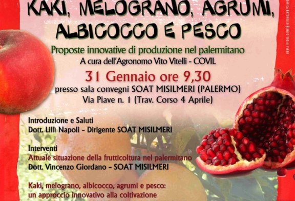 Seminario sul Kaki, melograno, agrumi, albicocco e pesco