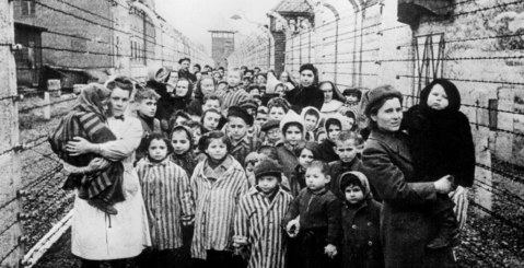 La Memoria non dura un giorno… lungo sguardo sulla Shoah