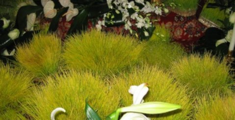 Il giovedì santo a Misilmeri: i ”Lavureddi”