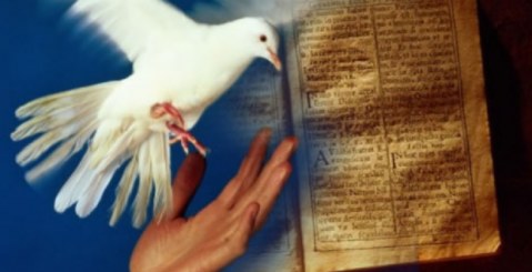 Porte Aperte: Un ponte tra Misilmeri e Rimini