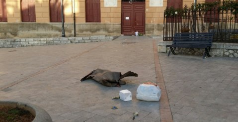 Provocazione o esasperazione? Rifiuti davanti al Municipio!