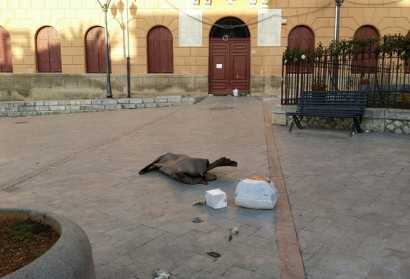 Provocazione o esasperazione? Rifiuti davanti al Municipio!