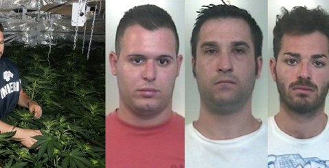 Scoperta una piantagione di “cannabis indica”. Tre arresti