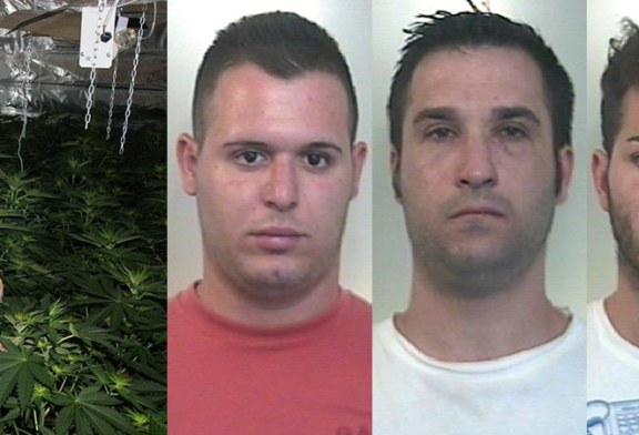 Scoperta una piantagione di “cannabis indica”. Tre arresti