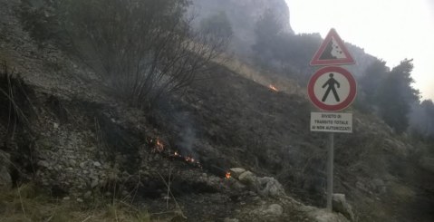 L’incendio di Montagna Grande: L’amara riflessione di una lettrice [foto e video]