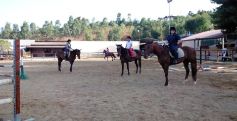 Prato verde: la solidarietà va a cavallo