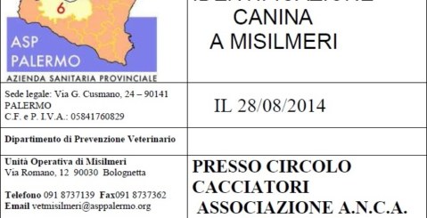Identificazione canina gratuita a Misilmeri