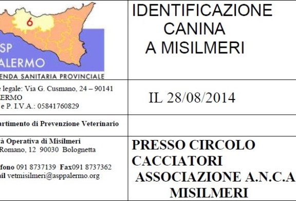 Identificazione canina gratuita a Misilmeri