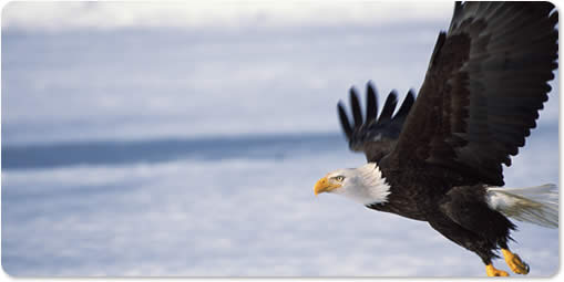 Notizie evangeliche diventa testata giornalistica, domenica l’inaugurazione