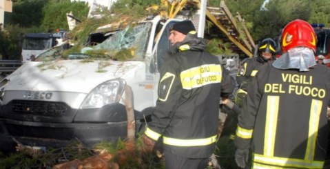 Cade un albero nel trapanese. Muore un misilmerese