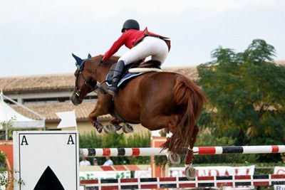 Equitazione Misilmerese: Gara Promozionale di Salto Ostacoli – 22 Marzo