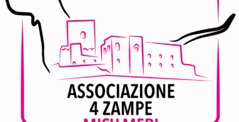 Randagismo, la posizione dell’associazione 4 Zampe Misilmeri