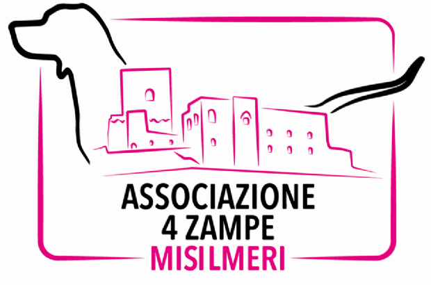 Randagismo, la posizione dell’associazione 4 Zampe Misilmeri