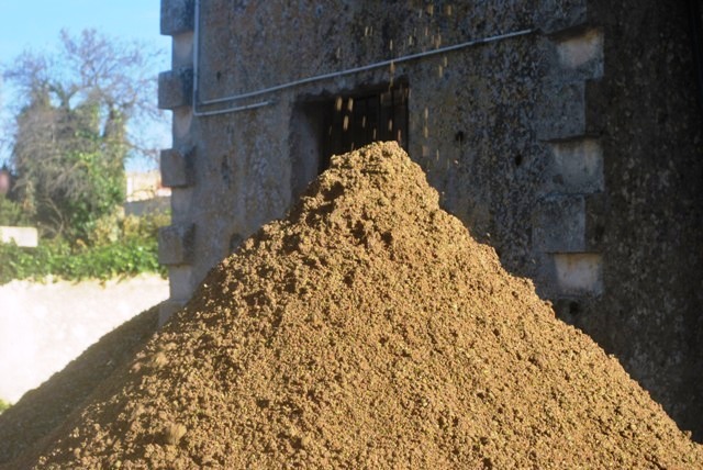 Caos olive, oleifici costretti a spegnere gli impianti e chiudere.