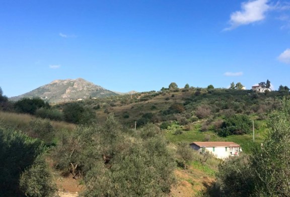 Cottanera, Marraffa e Bollari è allarme furti