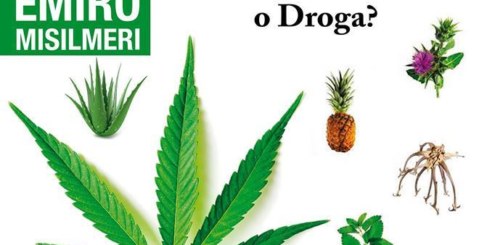 Marijuana: droga o medicina ? Se ne discute a Misilmeri