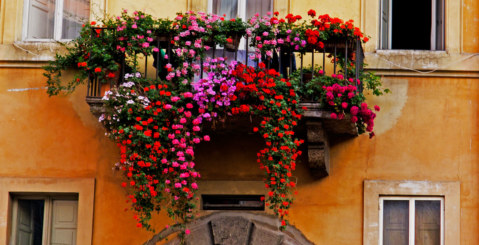 Circolo Landolina, al via il progetto ”Balcone Fiorito”