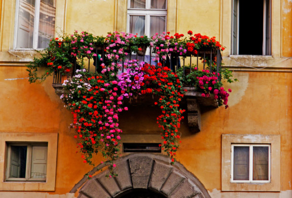 Circolo Landolina, al via il progetto ”Balcone Fiorito”