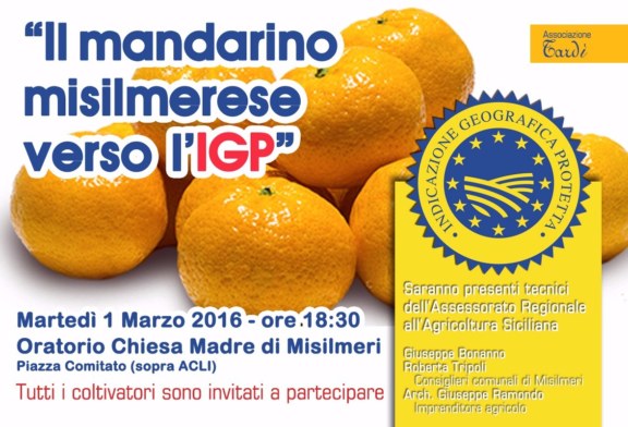 Il mandarino misilmerese verso l’IGP. Oggi un incontro