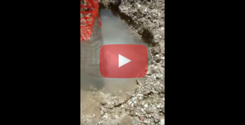 Copiosa perdita d’acqua in Contrada Risalaimi [Video]