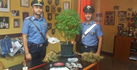 Ficarazzi. Arrestato giovane con 45 dosi di droga