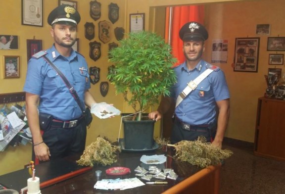 Ficarazzi. Arrestato giovane con 45 dosi di droga