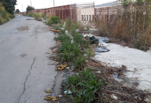 Via Papa Leone II infestata da sterpaglie insetti e topi