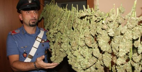 Misilmeri, rinvenute 435 piantine di cannabis. Due arresti [Foto e Video]