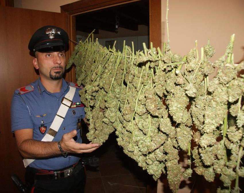 Misilmeri, rinvenute 435 piantine di cannabis. Due arresti [Foto e Video]