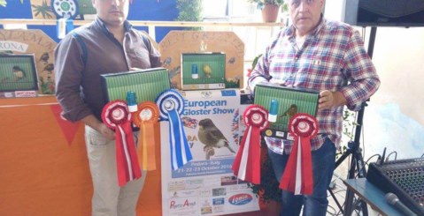 1° European Gloster Show, trionfo della famiglia Di Pisa [Foto]