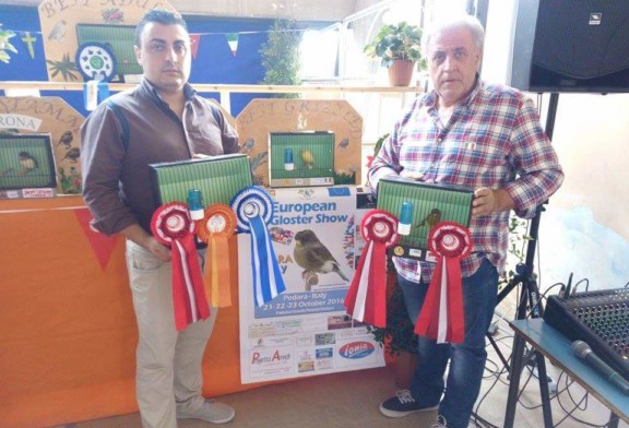 1° European Gloster Show, trionfo della famiglia Di Pisa [Foto]