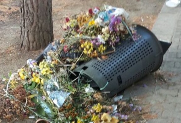 Sporcizia ed incuria al cimitero [Foto]