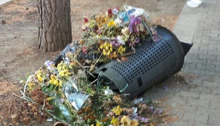 Sporcizia ed incuria al cimitero [Foto]