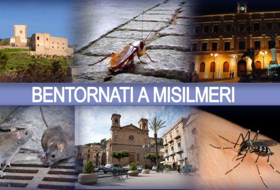 Come ogni anno arrivano i nostri turisti