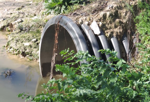 Le fogne scaricano nell’Eleuterio ? Un lettore valuta esposto in Procura
