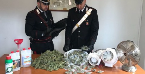 Misilmeri. Oltre 1 Kg di marjiuana in casa. Quattro arrestati