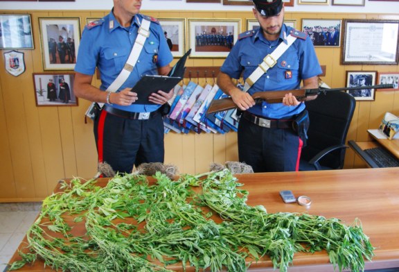 41 enne arrestato per detenzioni ai fini spaccio e furto di energia elettrica