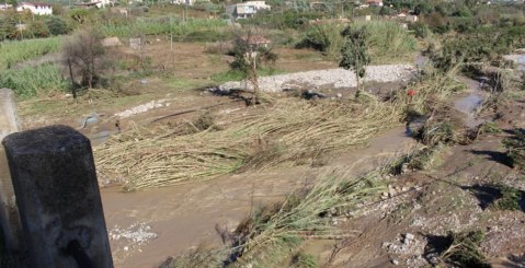 Assemblea agricoltori, mercoledì presso l’Oratorio Chiesa Madre