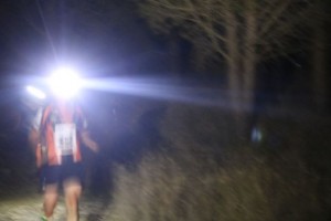 II-Menzel-El-Emir-Night-Trail251