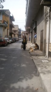 Scuola Guastella - Bardo Abbanniato18