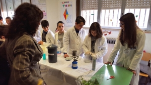 primavera delle scienze 2016 (14)  