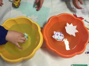 primavera delle scienze 2016 (27)   